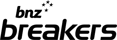 新西兰破坏者 Logo