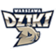 华斯基 Logo