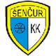 申丘尔KK Logo
