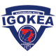 伊戈卡 Logo