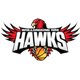 伊拉瓦拉老鹰 Logo