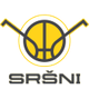 索科尔皮塞克 Logo