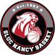 南锡 Logo