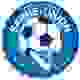 萨尔里联 Logo