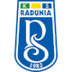 拉杜尼亚河 Logo