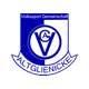 艾尔格里尼克 Logo