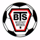 BTS诺伊施塔特 Logo