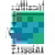 埃及电信 Logo