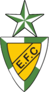 艾斯特雷拉 Logo
