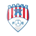 萨尔特河畔 Logo