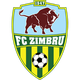 基希讷乌野牛 Logo