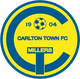 卡尔顿镇 Logo