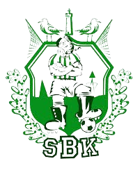 斯蒂尔索 Logo