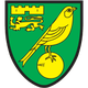 诺维奇U21 Logo