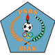 巴克伦佛 Logo