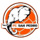 圣佩德罗FC Logo