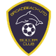 布罗德海滩联合 Logo