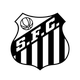 桑托斯女足 Logo