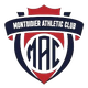 蒙蒂迪尔 Logo