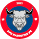 帕林廷斯 Logo