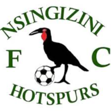 恩辛吉吉尼热刺 Logo