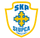 斯卢帕 Logo