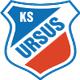 华沙熊 Logo