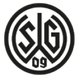 华登舒特 Logo