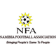 纳米比亚 Logo