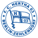 萨伦多夫赫塔队 Logo
