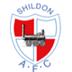 希尔登 Logo