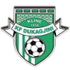 杜卡吉尼 Logo