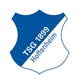 霍芬海姆 Logo