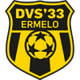 DVS厄梅洛 Logo