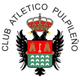 AT普尔 Logo