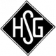 霍尔济姆SG Logo