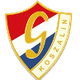 格瓦达科沙林 Logo