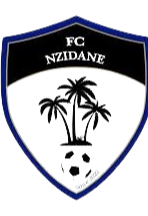 N席丹 Logo