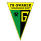 塔尔诺夫斯 Logo