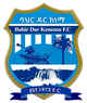 巴赫达尔城 Logo