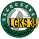 波勒辛卡 Logo