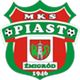 日米格鲁德 Logo
