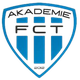 塔博尔斯科学院 Logo