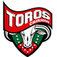 比斯特里察 Logo