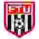 弗林特镇 Logo