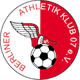 柏林安卡拉体育U19 Logo