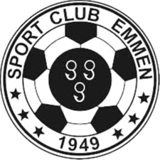 埃门 Logo