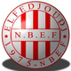 纳萨费德祖杰 Logo