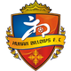 湖南湘涛(已退出) Logo