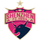 深圳队 Logo